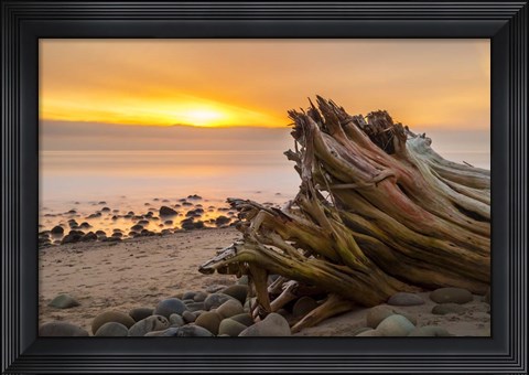 Framed Driftwood Sunset Print