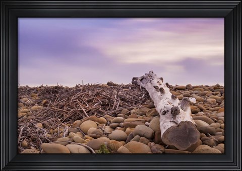 Framed Driftwood View Print
