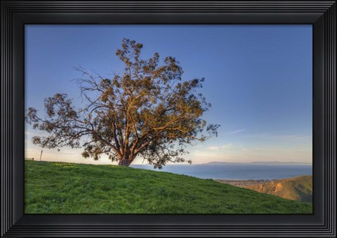 Framed Island View Print
