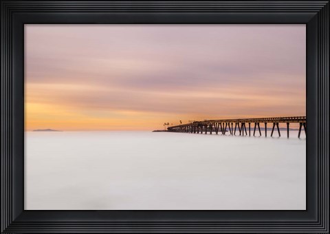 Framed Milky Mussel Shoals Print