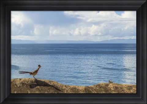 Framed Road Runner View Print