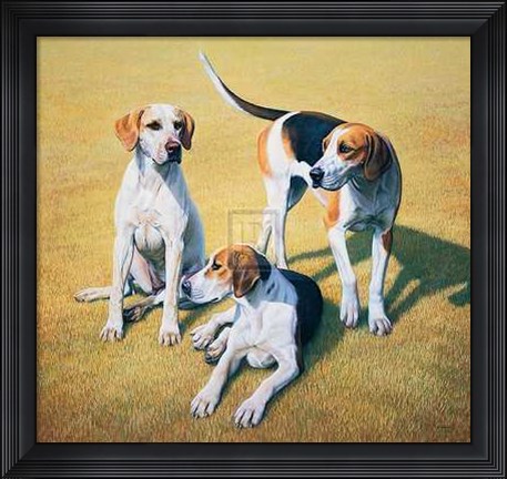 Framed Gary Stinton - Cotswold Foxhounds [Ed 9] Print