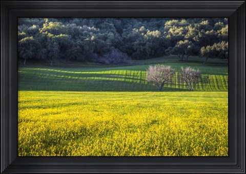 Framed Together Forever Print