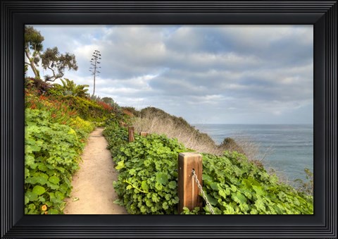 Framed La Jolla Walk Print
