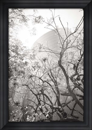 Framed Dreamy Disney Concert View Print