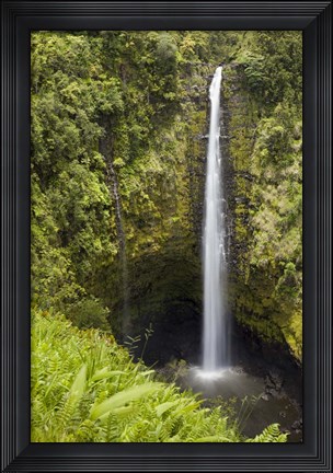 Framed Akaka Falls Print