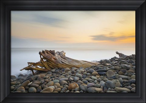 Framed Covered Print