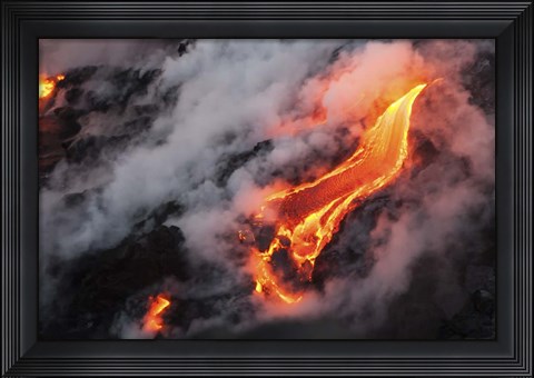 Framed Dragon's Tongue Print