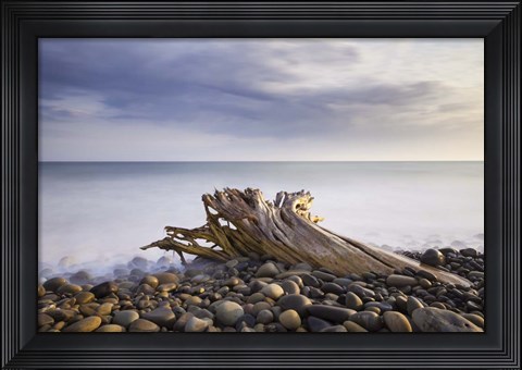 Framed Stumped Print