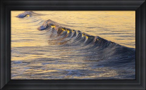 Framed Warm Curl Print