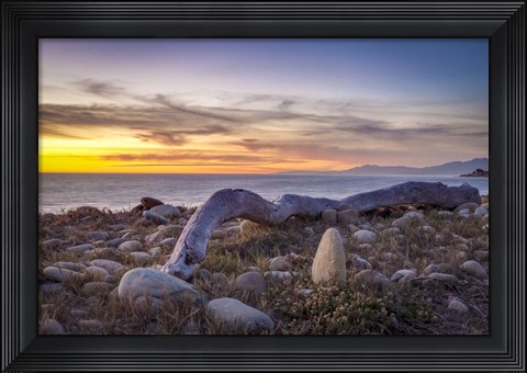 Framed Driftwood January Print
