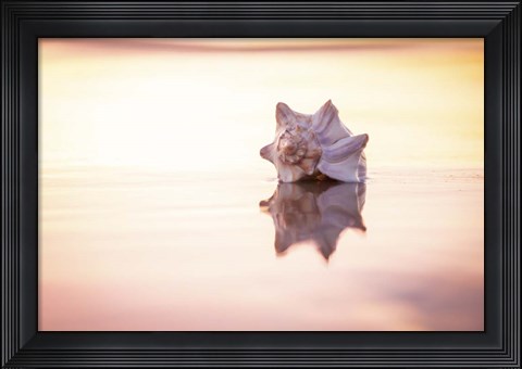 Framed King of the Beach Print