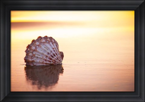 Framed Battered But Beautiful Print