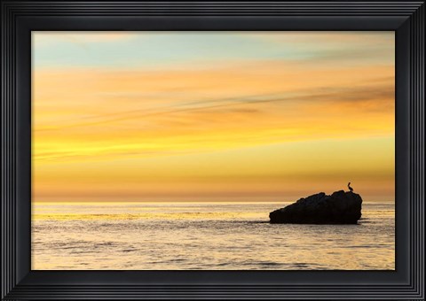 Framed Pelican Sunrise Print