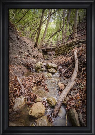 Framed Lower Nojoqui Falls Print