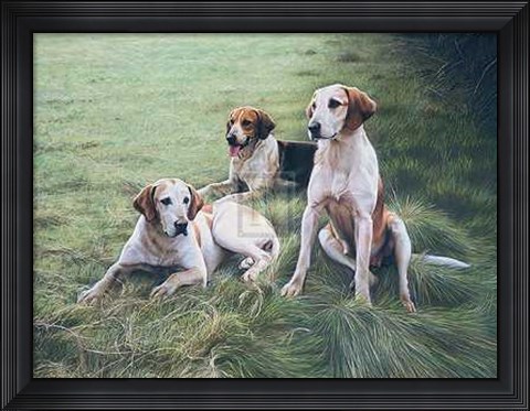 Framed Gary Stinton - Duke of Beaufort&#39;s Hounds [Ed 9] 29x23 Print Print