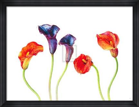 Framed Rosie Sanders - Purple and Mango [Ed 99] Print