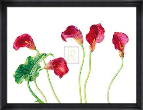 Framed Seeing Red [Ed 99] Print