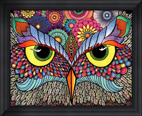 Framed Owl Face Print