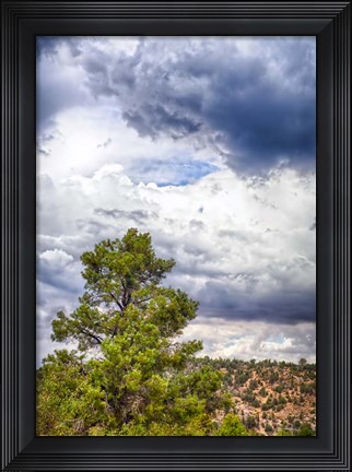 Framed Big Beartree Print
