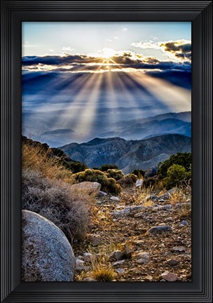Framed Joshua Trees Sunset Print