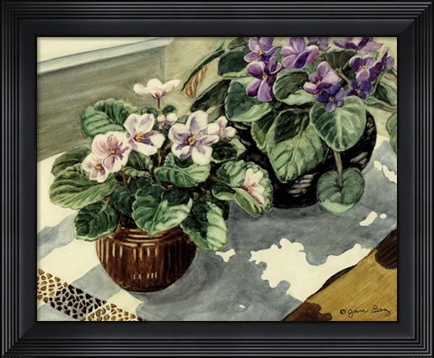 Framed African Violets Print