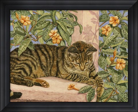 Framed Caribbean Cat Print