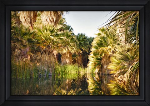 Framed Palms Reflecting Print
