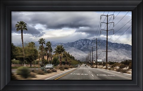 Framed Palm Spring Print