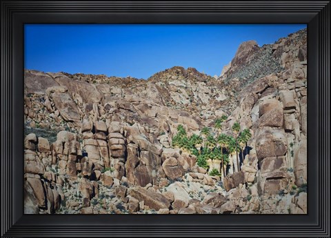 Framed Desert Oasis Print