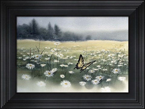 Framed Daisy Field Print