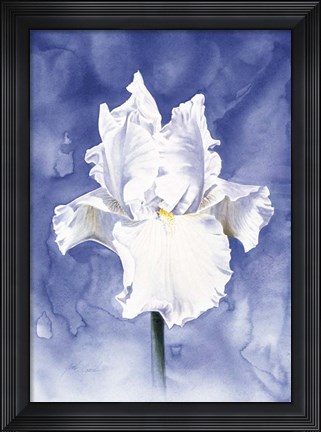 Framed Regal Bloom Print