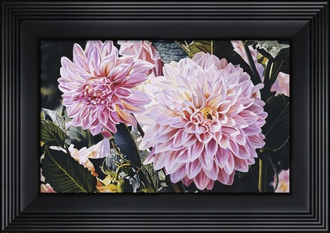 Framed Dahlias Print