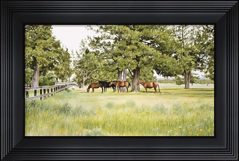 Framed Juniper Valley Print