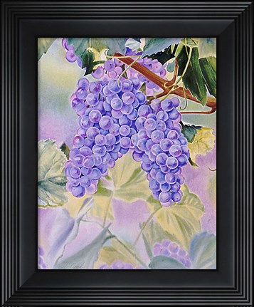 Framed Sweet Harvest Print