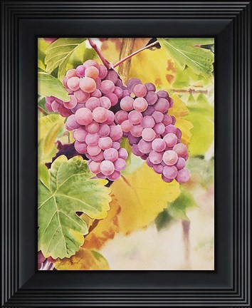 Framed Fresh From The Vine Print