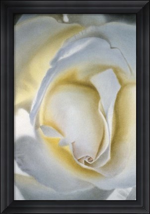 Framed Silver &amp; Gold Print