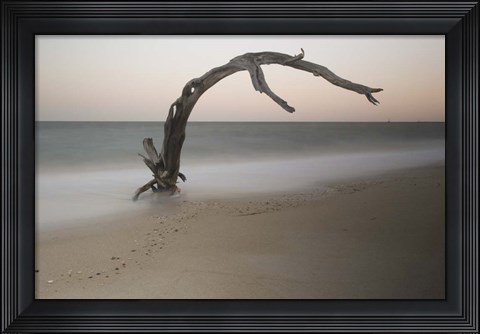 Framed Anthropomorph Print