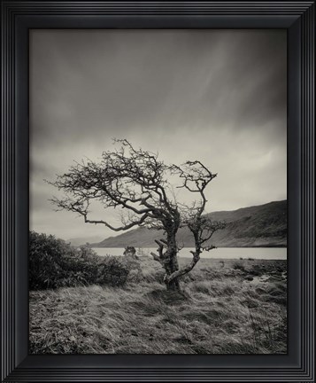 Framed Successful Hills are Here to Stay Print