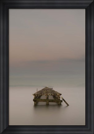 Framed Swimming to Alcatraz III Print