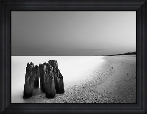 Framed Caucus Race Print