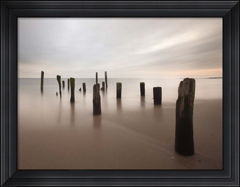 Framed Beyond Measure Print