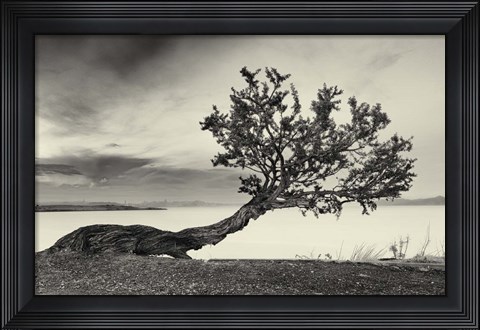 Framed Abnegation Print