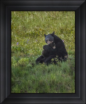 Framed Black Bear Hugging Cub Print