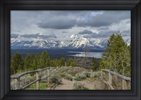 Framed Jackson Lake Overlook G Print
