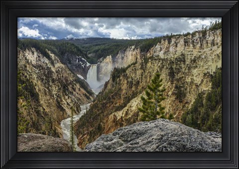 Framed Lower Falls YNP Grand Canyon Print