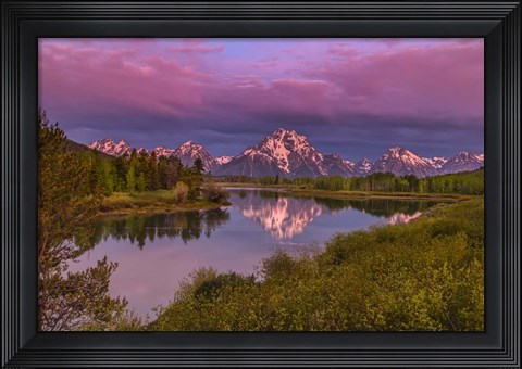 Framed Magenta Sunrise  Oxbow Bend Print