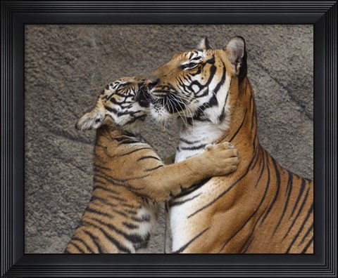 Framed Kiss For Mom Print