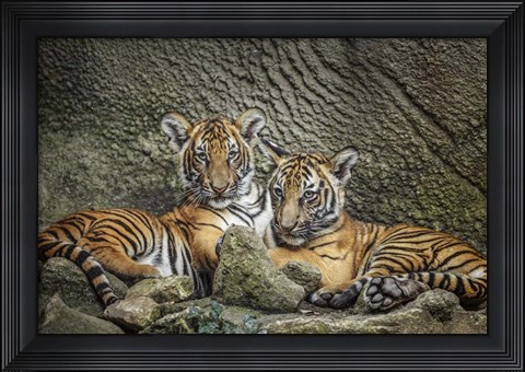 Framed Brothers Twosome Print
