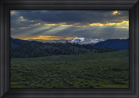 Framed Lamar Valley Sunrise Print
